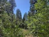 Lot 5 Waterleaf Lane - Photo 4