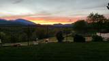 892 Coggins Street - Photo 43