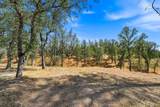 13524 Woodman Lane - Photo 26