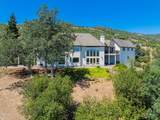 15368 Mountain Shadows Drive - Photo 43