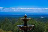 15368 Mountain Shadows Drive - Photo 48
