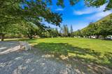 13905 Trinity Mountain Road - Photo 14