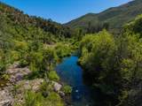 13905 Trinity Mountain Road - Photo 17