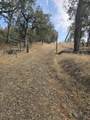 15115 Lower Coal Pit Drive - Photo 2