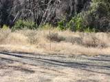 17031 Slate Creek Road - Photo 13