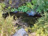 17031 Slate Creek Road - Photo 2
