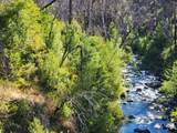 17031 Slate Creek Road - Photo 9