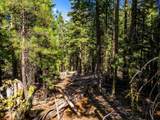 8735 Bering Road - Photo 10