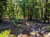 8735 Bering Road - Photo 11
