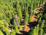 8735 Bering Road - Photo 12