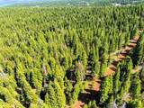 8735 Bering Road - Photo 13
