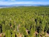8735 Bering Road - Photo 15