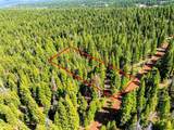 8735 Bering Road - Photo 18