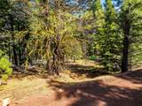 8735 Bering Road - Photo 2