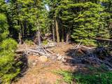 8735 Bering Road - Photo 4
