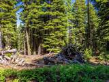 8735 Bering Road - Photo 6
