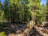 8735 Bering Road - Photo 9