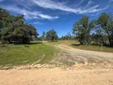 15203 Diggins Way - Photo 10