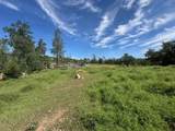 15203 Diggins Way - Photo 13