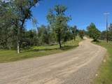 15203 Diggins Way - Photo 17