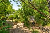 20933 Foxhunt Drive - Photo 22