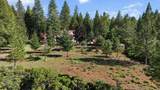 32602 Three Oaks Drive - Photo 91