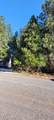 #000 Holiday Road - Photo 11