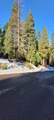 #000 Audubon Road - Photo 12