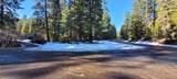 #000 Audubon Road - Photo 2