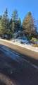 #000 Audubon Road - Photo 9