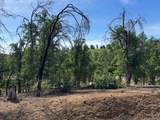 7257 Deck Way - Photo 10