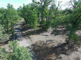 7257 Deck Way - Photo 20