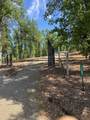 7257 Deck Way - Photo 4