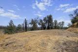 14020 Windfall Drive - Photo 12