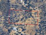 14020 Windfall Drive - Photo 2