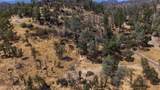 14020 Windfall Drive - Photo 4