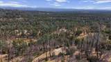 14020 Windfall Drive - Photo 6