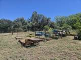 21590 Purple Place - Photo 10