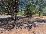  Shasta Dam Boulevard - Photo 4