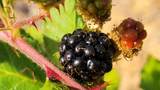 000 Westside Road - Photo 14