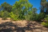 1905 Jefferson Avenue - Photo 45