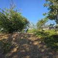 2353 Cottage Avenue - Photo 13