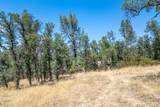 17275 Quail Ridge Road - Photo 15