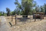 3373 Denice Way - Photo 35