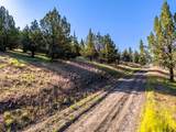 737 Raccoon Lane - Photo 1
