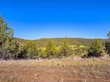 737 Raccoon Lane - Photo 4