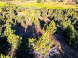 737 Raccoon Lane - Photo 5