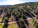 737 Raccoon Lane - Photo 8