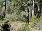 Lot 13 Speargrass Court - Photo 5