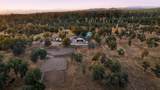 29099 Doveweed Way - Photo 109